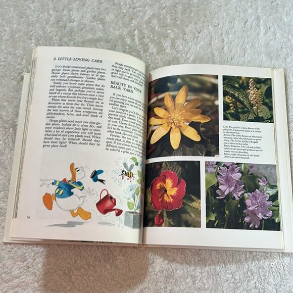 Disney's Wonderful World of Knowledge book 2, 1971 HC GOOD - Picture 6 of 11
